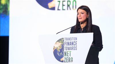 «المشاط»: 250 مليار دولار احتياجات قارة أفريقيا لتنفيذ مساهماتها المحددة وطنيًا 