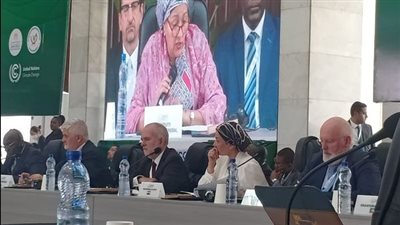 وزيرة البيئة تشارك في جلسة التحديات والأولويات لمؤتمر المناخ بكينشاسا 