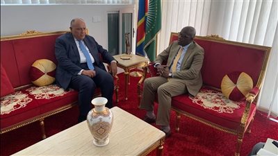 وزير الخارجية يلتقي نظيره الكونغولي على هامش الاجتماع التحضيري لمؤتمر المناخ 