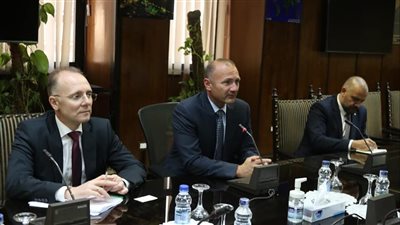 مباحثات مصرية بلغارية لتعزيز التعاون في مشروعات الكهرباء والطاقة المتجددة