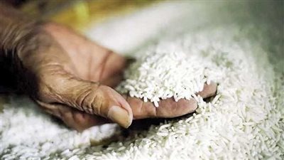 غرفة صناعة الحبوب: الأرز متوفر في الأسواق بكميات كبيرة