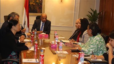 وزير قطاع الأعمال يبحث زيادة استثمارات «هاندا» الصينية في مصر
