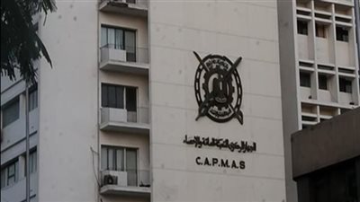 «الإحصاء» يعلن بدء البث التجريبي لمرصد «بيانات مصر»