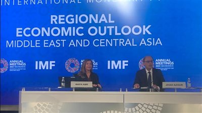 صندوق النقد الدولي: تقدم المفاوضات مع مصر حول برنامج التعاون الجديد