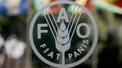 «الفاو»: 28 مليون شخص حول العالم يعانون من نقص الأمن الغذائي 