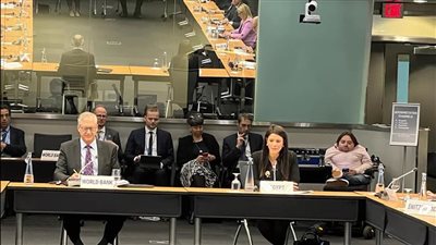 «المشاط» تبحث تعزيز التعاون مع المنظمات غير الهادفة للربح في مجال تمويل المناخ