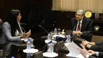 وزير الكهرباء يبحث مع عدد من الشركات البلجيكية فرص الاستثمار بمجالات الطاقة المتجددة 