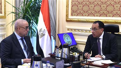 الحكومة تستعد لطرح أراضي ووحدات سكنية للمصريين في الخارج 