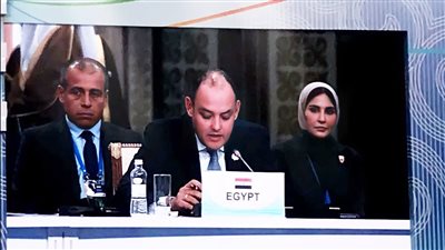 وزير التجارة والصناعة يعلن ترحيب مصر بمفاوضات تحويل «سيكا» إلى منظمة إقليمية دولية