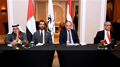 وزير الصناعة: دور رئيسي للقطاع الخاص في تعزيز الشراكة الاقتصادية المصرية الإماراتية 