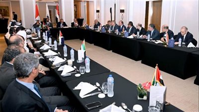 «الأعمال المصري الإماراتي»: الحكومة تعمل على تذليل العقبات التي تواجه المستثمرين