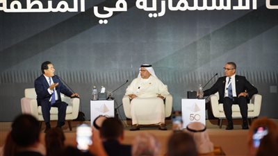«السادات»: تواصل دائم بين مصر والإمارات لإزالة المعوقات أمام المستثمرين