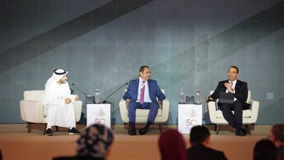 أيمن سليمان: التعاون بين الصناديق السيادية عالميا تجربة أثبتت نجاحها