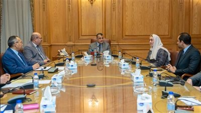 وزير الإنتاج الحربي يتابع مع «إم جلوري» الإماراتية مستجدات التعاون المشترك 