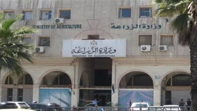 «الزراعة» تكشف تفاصيل صفقة الـ700 مليار جنيه لتنمية المناطق الريفية