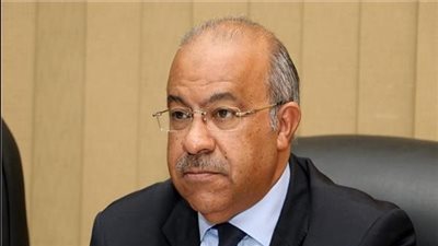 «تنمية التجارة»: مشتريات «السلع التموينية والقابضة الغذائية» من البورصة السلعية خلال شهرين