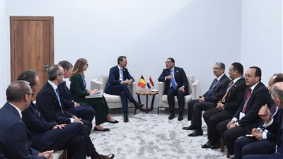 رئيس الوزراء: توفير سبل الدعم لزيادة الاستثمار في الهيدروجين الأخضر