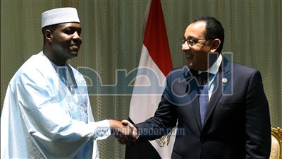 رئيس الوزراء: مصر تحرص على تعزيز العلاقات مع مالي وتدعم وحدة أراضيها