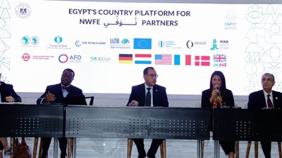 مصر تحشد تمويلات إنمائية مُيسرة بـ 10.3 مليار دولا لبرنامج «نوفي»