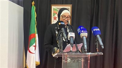 نيفين جامع تعرض تجربة مصر في النهوض بقطاع المشروعات الصغيرة