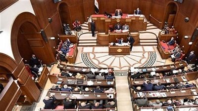 مجلس الشيوخ يوافق مبدئيًا على تعديل بعض أحكام قانون الاستثمار