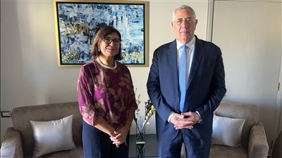 وزير الزراعة يبحث مع «الفاو» آليات تنفيذ مبادرة التحول المستدام FAST