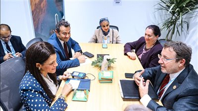 «المشاط» تستعرض مبادرات «التعاون الدولي» مع شركاء التنمية على هامش COP27