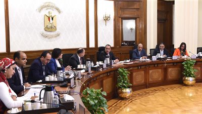 رئيس الوزراء يبحث مستجدات تطوير مجمع الألومنيوم بنجع حمادي