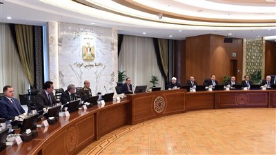 الحكومة توافق على اعتبار سلعة «الأرز» من المنتجات الاستراتيجية 