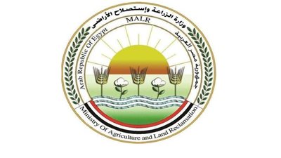 «البحوث الزراعية»: تدشين غرفة عمليات لمتابعة محصول القمح من الزراعة إلى الحصاد