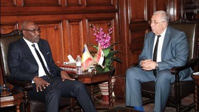 وزير الزراعة يبحث آفاق التعاون المستقبلي بين مصر وتشاد
