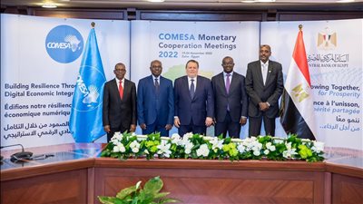 «المركزي المصري» يستضيف الاجتماع الـ26 للجنة محافظي البنوك المركزية بـ«الكوميسا»