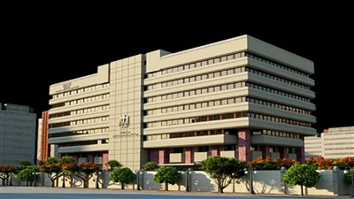 معلومات الوزراء: 79% من المصريين يرون اهتمام الدولة حاليًا بجودة المنتج المحلي