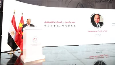 وزير المالية: مصر تفتح أبوابها أمام الاستثمارات الصينية فى الصناعات الاستراتيجية 