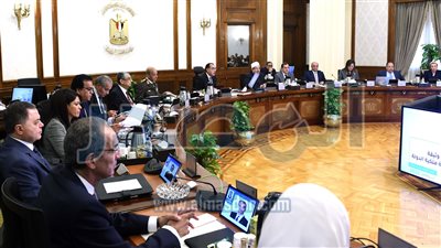 «الوزراء»: إنشاء منطقة حرة خاصة باسم شركة «يازاكي مصر للأنظمة الكهربائية»