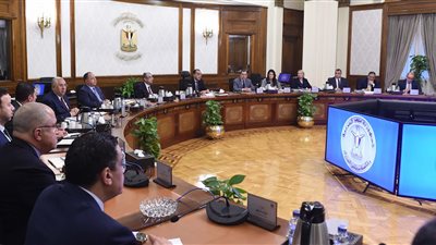 رئيس الوزراء يقرر تشكيل اللجنة الخاصة بإصدار الرخصة الذهبية