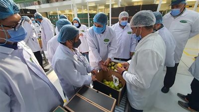 وزير الزراعة يعلن فتح السوق الفلبيني أمام الصادرات المصرية