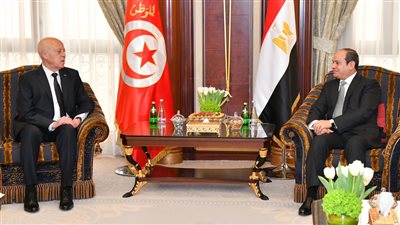السيسي يؤكد حرص مصر على تعزيز أطر التعاون الثنائي مع تونس