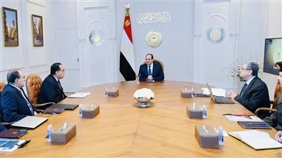 السيسي يوجه بسرعة استكمال التغذية الكهربائية الإضافية لمشروع «الدلتا الجديدة» 