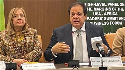 أبو العينين: مبادرات السيسي ستحدث نقله استثمارية وحضارية للقارة السمراء