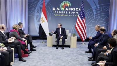 الرئيس السيسي يبحث مع وزير الخارجية الأمريكي سبل تعزيز أطر التعاون المشترك