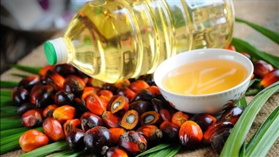 مفاوضات مصرية ماليزية لإقامة مشروع لإنتاج زيت النخيل باستثمارات 30 مليون دولار