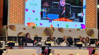 «التخطيط» تشارك في الاجتماع الفني الخاص بالتنمية بمجموعة دول العشرين