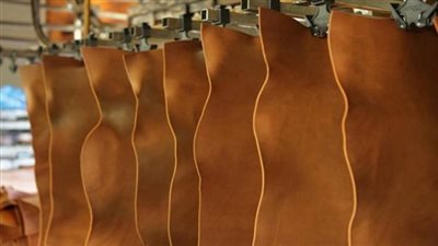 بمشاركة 70 شركة.. إنطلاق معرض القاهرة الدولي للجلود 26 يناير المقبل 