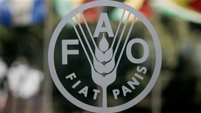 «الفاو» تتوقع وصول فاتورة الواردات الغذائية العالمية لـ1.94 تريليون دولار في 2022