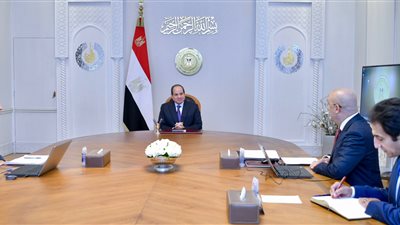 الرئيس السيسي يطلع على نتائج زيارة الوفد الوزاري المصري إلى تنزانيا 