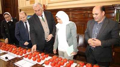 «القصير» يتابع نتائج تقييم بعض الهجن وأصناف الطماطم ضمن البرنامج الوطنى لإنتاج التقاوي 