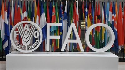 «فاو»: 2% إنخفاضا في مؤشر أسعار السلع خلال ديسمبر 2022