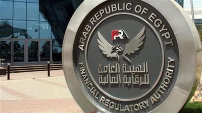 ارتفاع أرصدة التمويل متناهي الصغر إلى 36.46 مليار جنيه بنهاية أكتوبر 2022