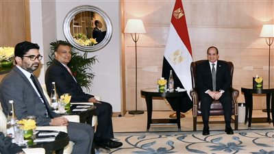 السيسي يبحث التعاون مع رينيو باور الهندية لإنتاج الكهرباء من الطاقة المتجددة
